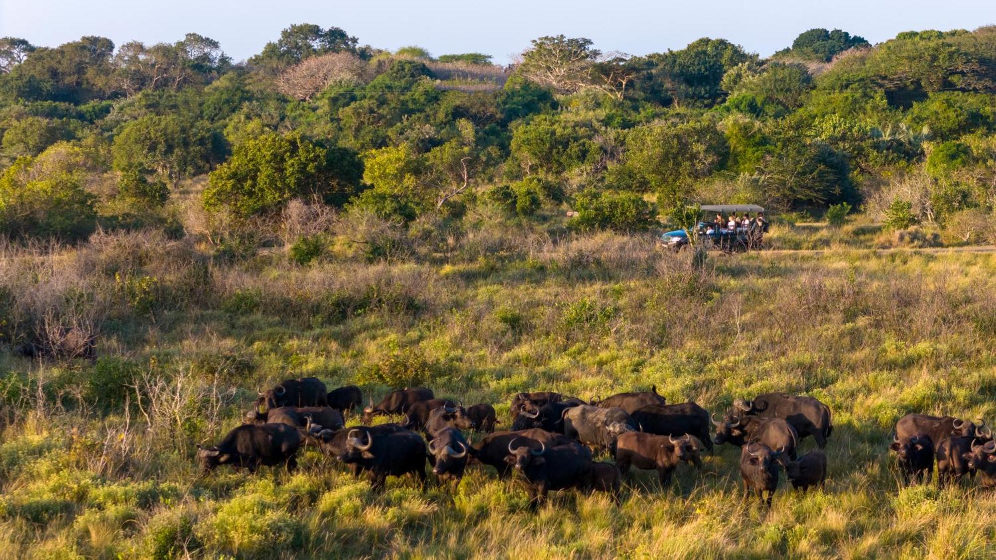 Makakatana Bay Lodge Сент-Люсия Экстерьер фото